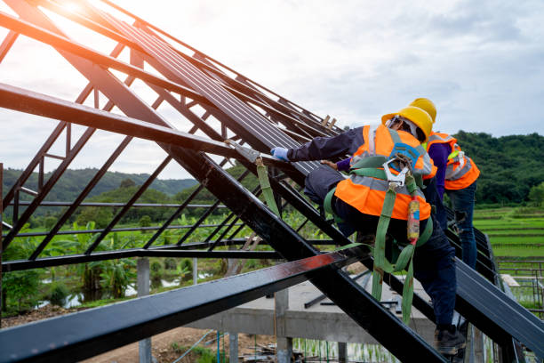Best Storm Damage Roof Repair  in Faison, NC