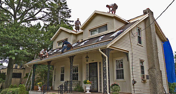 Best Local Roofing Companies  in Faison, NC